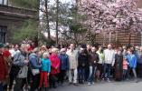 Wielu mieszkańców na szlaku magnolii 
