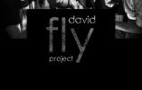 David Fly Project w Herbaciarni "Laja"