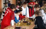 "Z innej bajki", czyli turniej szachowy dla dzieci 