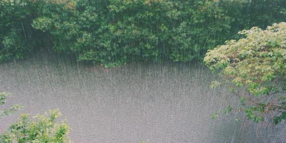 Ostrzeżenie RCB: Intensywne opady deszczu. Największe nasilenia prognozowane w nocy