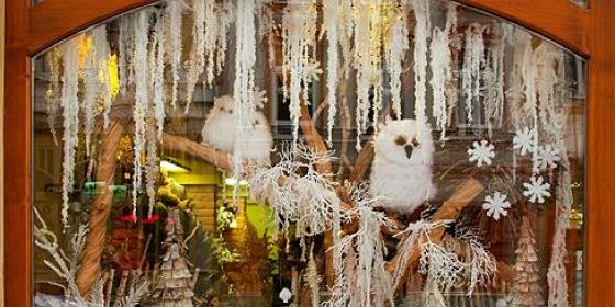 Zamek Cieszyn ogłasza konkurs na Najpiękniejszą Świąteczną Witrynę Sklepową