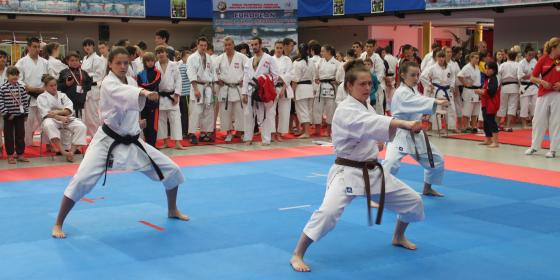 Zawodnicy z Cieszyna wicemistrzami Europy w karate