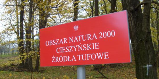 STOP rozjeżdżaniu Cieszyńskich Źródeł Tufowych! 