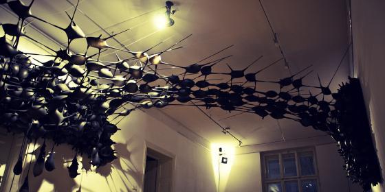 "Neoplasma" - instalacja Szymona Motyla w ramach imprezy urodzinowej Zamku Cieszyn