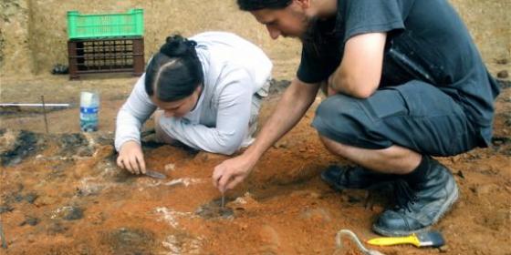 Archeolodzy odkryli szczątki zwierząt i mury sprzed setek lat
