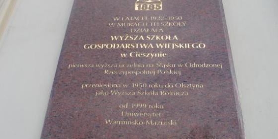 W Olsztynie też są ludzie "stela"