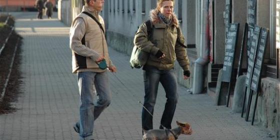 Czesi chcą legitymować polskie psy