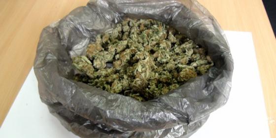 Policja: Przewoził marihuanę za ok. 4,5 tys. zł.