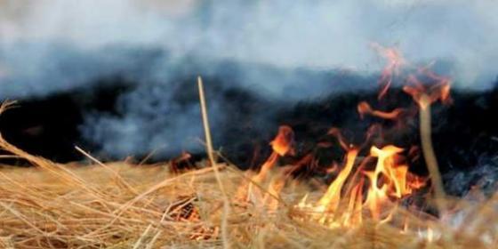 Wisła: Wypalanie trawy doprowadziło do pożaru lasu