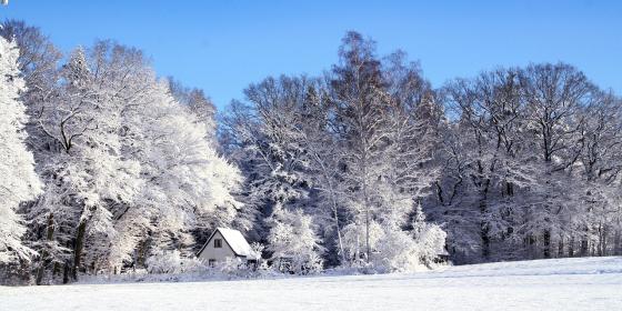 Dziś 21 grudzień- początek astronomicznej zimy!